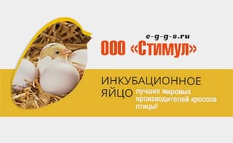 www.e-g-g-s.ru